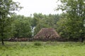 Old cottage under thatched roof