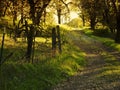 Old Country Dirt Road Royalty Free Stock Photo