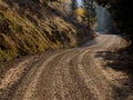 Old Country Dirt Road in Autumn Fall Forest Pine Trees Aspen Royalty Free Stock Photo