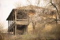 Ancient country house and a blooming tree Royalty Free Stock Photo