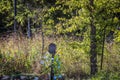 Old country mailbox with morning glories vining up in in front of barbed wire fence and messy overgrown field Royalty Free Stock Photo