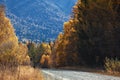 Old country road in autumn mountain forest Royalty Free Stock Photo