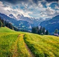 Old country road on the mountain valley. Dramatic summer view of Wengen village. Nice morning scene of countryside in Swiss Alps,