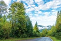 Old country road through spruce forest Royalty Free Stock Photo