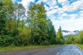 Old country road through spruce forest Royalty Free Stock Photo