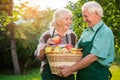 Old couple and apple basket.