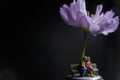 Old couple model sitting under flowers