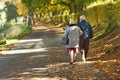 Old couple in the park Royalty Free Stock Photo