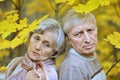 Old couple posing at autumn park Royalty Free Stock Photo