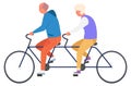 Old couple riding tandem bicycle. Active seniors lifestyle Royalty Free Stock Photo