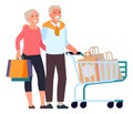 Old couple with shopping cart. Happy senior consumers Royalty Free Stock Photo