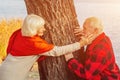 Old couple is walking in the green park. Fifty years together love story. Grandma and grandpa kissing. Grandmother and grandfather Royalty Free Stock Photo