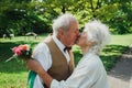 Old couple is walking in the green park. Grandmother and grandfather at golden wedding anniversary celebration. Grandma and Royalty Free Stock Photo