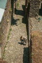 Old couple walking inside the Castelo de Vide Castle