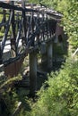 Burnt out covered bridge in rural West Virginia