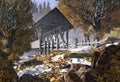 Old Covered Bridge And Robin