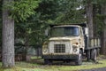 Old covered with green moss small rig semi tipper truck with dump trailer stands eternally laid up under the trees as if it had