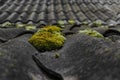 Old and covered with green moss wavy roof slates covers the barn Royalty Free Stock Photo