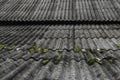 Old and covered with green moss wavy roof slates covers the barn Royalty Free Stock Photo