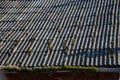 Old and covered with moss wavy roof slates covers the barn Royalty Free Stock Photo