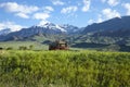 Old covered wagon in the Absaroka Mountains of Wyo Royalty Free Stock Photo