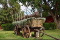 Old covered wagon restored to be a yard decoration
