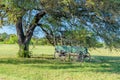 Old Covered Wagon Under the Oak Tree Royalty Free Stock Photo