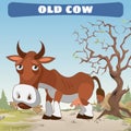 Old cow in wasteland, character from wild West