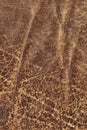 Old Brown Cowhide Crumpled Wizened Flaky Coarse Grunge Texture Royalty Free Stock Photo
