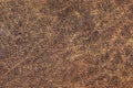 Old Brown Cowhide Wizened Exfoliated Flaky Coarse Grunge Texture Royalty Free Stock Photo