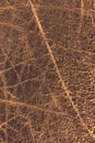 Old Brown Cowhide Coarse Crumpled Cracked Flaky Grunge Texture Royalty Free Stock Photo