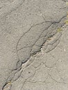 Old cracked asphalt on a sunny day