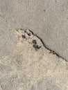 Old cracked asphalt on a sunny day Royalty Free Stock Photo