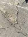 Old cracked asphalt on a sunny day Royalty Free Stock Photo