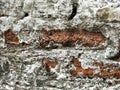 The Old cracked brick wall texture detail Royalty Free Stock Photo