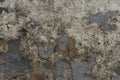 Old cracked brown paint on a door with white gaps. texture, background Royalty Free Stock Photo