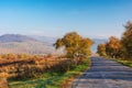 old cracked country road through rural valley in morning light Royalty Free Stock Photo