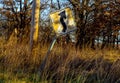 Old and cracked curve ahead sign tilting sideways along a country road in late afternoon with golden sun shinning on it and grass Royalty Free Stock Photo