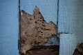 Termite and weather damage done to siding Royalty Free Stock Photo