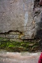 Old cracked mossy plastered wall