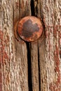 Old Cracked Painted Wood with Bolt Head Royalty Free Stock Photo