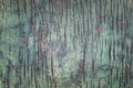 Old cracked painted wooden veneer background. Weathered natural plywood texture with paint and crack Royalty Free Stock Photo