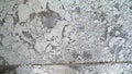 The crumbling white plaster from the ceiling lies on the floor. Old, cracked putty on the floor. Royalty Free Stock Photo