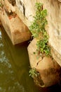 Old small bridge with a rural path Royalty Free Stock Photo