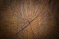 Old, cracked tree trunk cross section wood background texture. Royalty Free Stock Photo