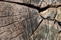 Old cracked wood with visible details. textura Royalty Free Stock Photo