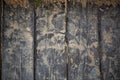 Old cracked wooden flooring closeup. Dry whitened wood texture with fresh green leaves of wild plant. Natural wood Royalty Free Stock Photo