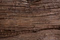 Old cracked wooden surface Royalty Free Stock Photo