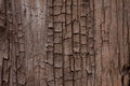 Old cracked wooden surface Royalty Free Stock Photo