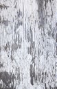 Old cracky white paint texture on wood Royalty Free Stock Photo